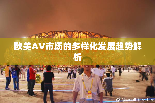 欧美AV市场的多样化发展趋势解析