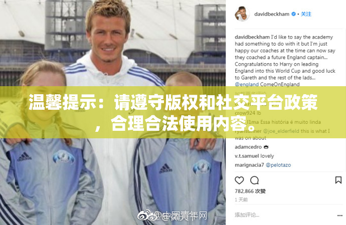 温馨提示：请遵守版权和社交平台政策，合理合法使用内容。