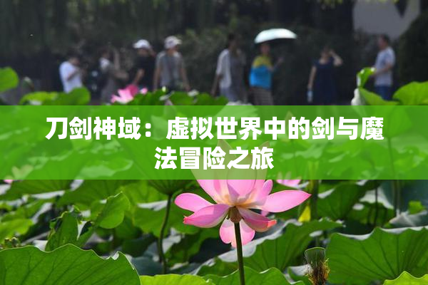 刀剑神域：虚拟世界中的剑与魔法冒险之旅