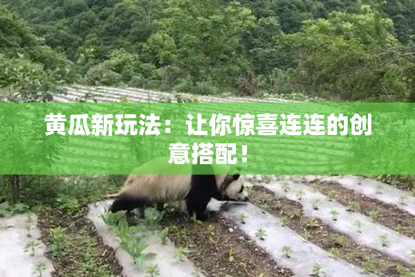 黄瓜新玩法：让你惊喜连连的创意搭配！
