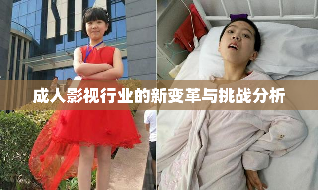 成人影视行业的新变革与挑战分析