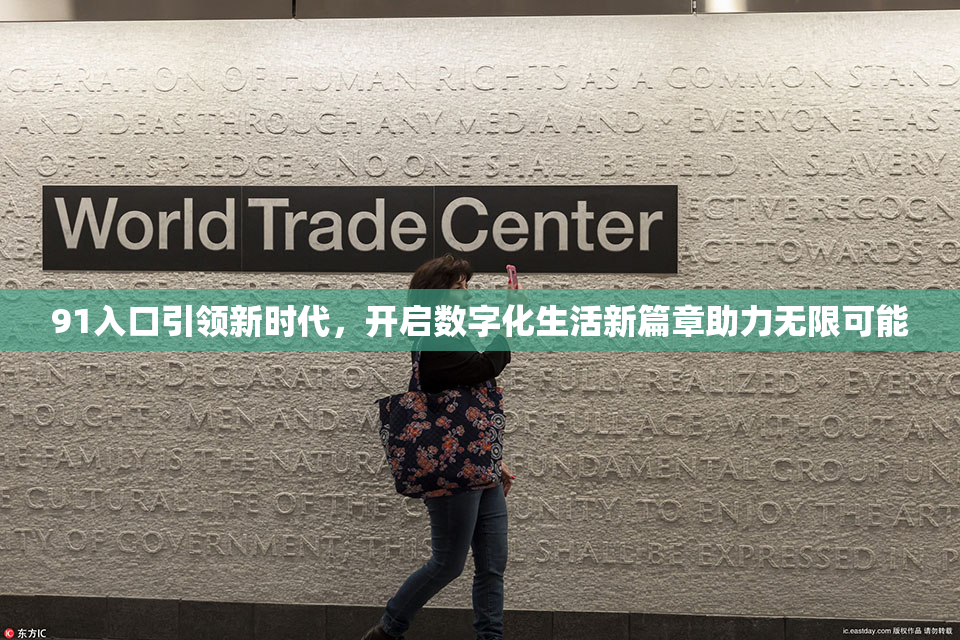91入口引领新时代，开启数字化生活新篇章助力无限可能
