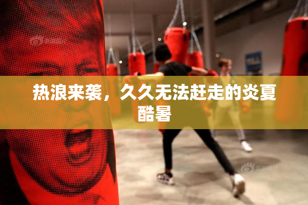 热浪来袭，久久无法赶走的炎夏酷暑