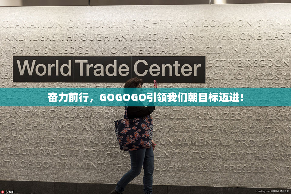 奋力前行，GOGOGO引领我们朝目标迈进！