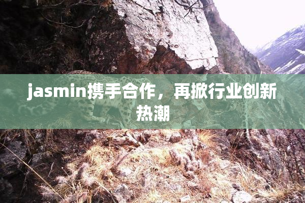 jasmin携手合作，再掀行业创新热潮