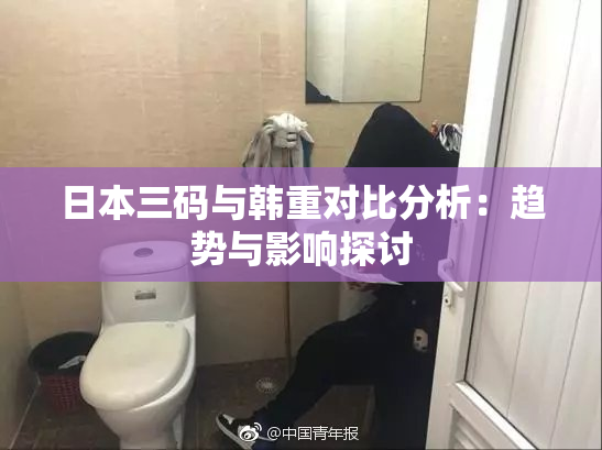 日本三码与韩重对比分析：趋势与影响探讨