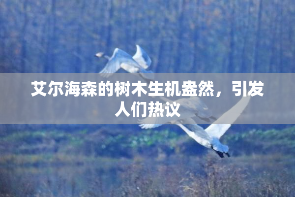 艾尔海森的树木生机盎然，引发人们热议