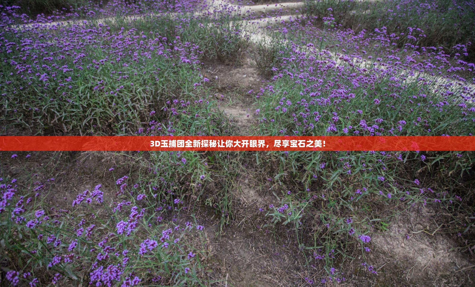 3D玉捕团全新探秘让你大开眼界，尽享宝石之美！