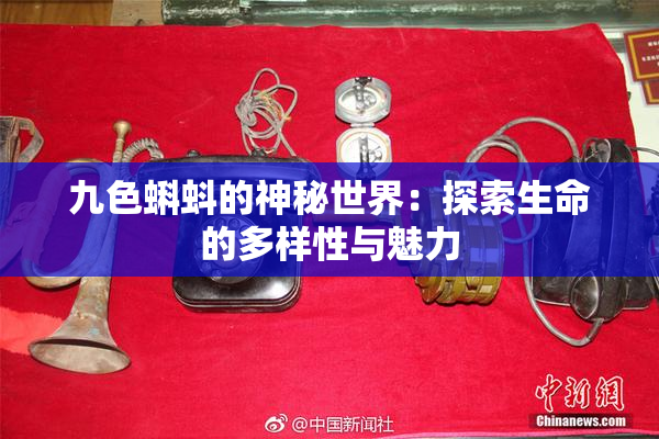 九色蝌蚪的神秘世界：探索生命的多样性与魅力
