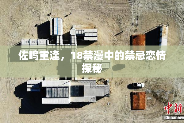 佐鸣重逢，18禁漫中的禁忌恋情探秘