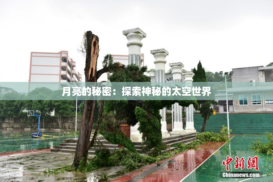 月亮的秘密：探索神秘的太空世界