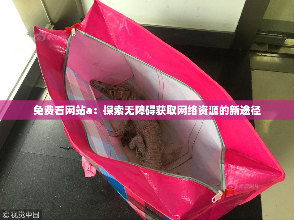 免费看网站a：探索无障碍获取网络资源的新途径