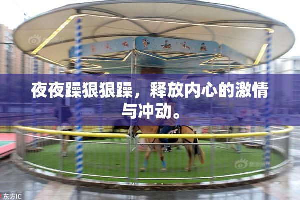 夜夜躁狠狠躁，释放内心的激情与冲动。