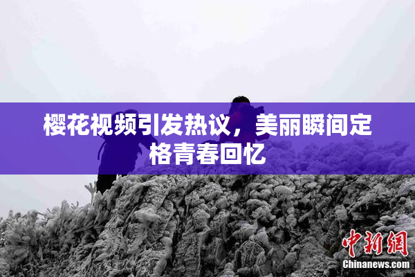 樱花视频引发热议，美丽瞬间定格青春回忆