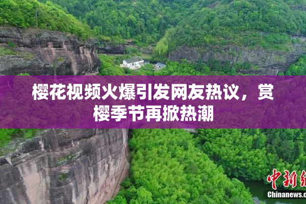 樱花视频火爆引发网友热议，赏樱季节再掀热潮