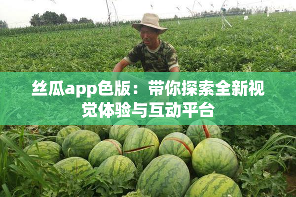 丝瓜app色版：带你探索全新视觉体验与互动平台