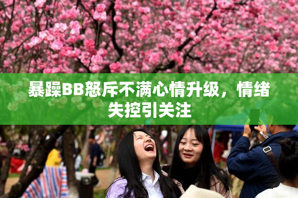 暴躁BB怒斥不满心情升级，情绪失控引关注