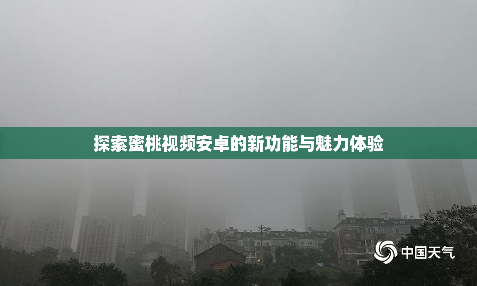 探索蜜桃视频安卓的新功能与魅力体验