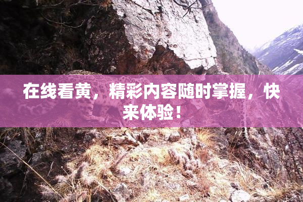 在线看黄，精彩内容随时掌握，快来体验！