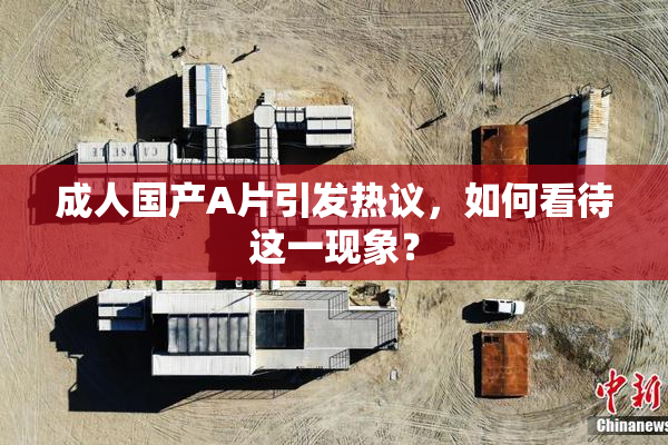 成人国产A片引发热议，如何看待这一现象？