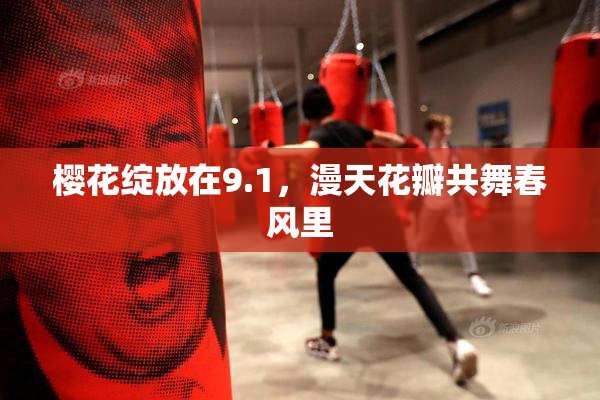 樱花绽放在9.1，漫天花瓣共舞春风里