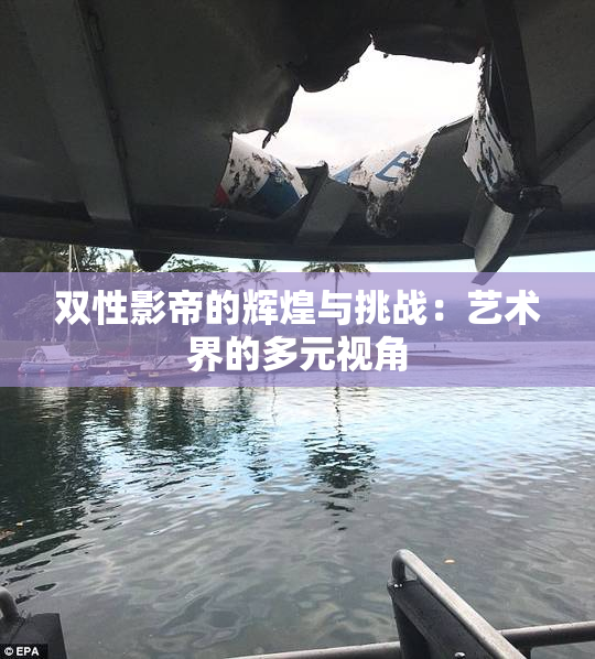 双性影帝的辉煌与挑战：艺术界的多元视角