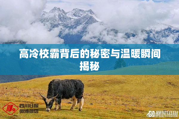高冷校霸背后的秘密与温暖瞬间揭秘