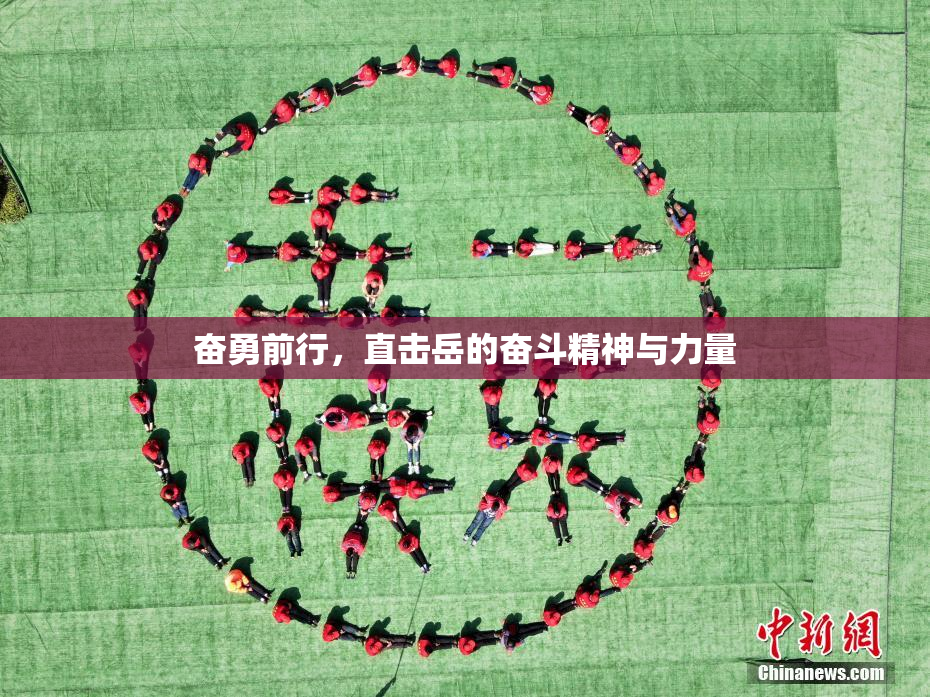 奋勇前行，直击岳的奋斗精神与力量