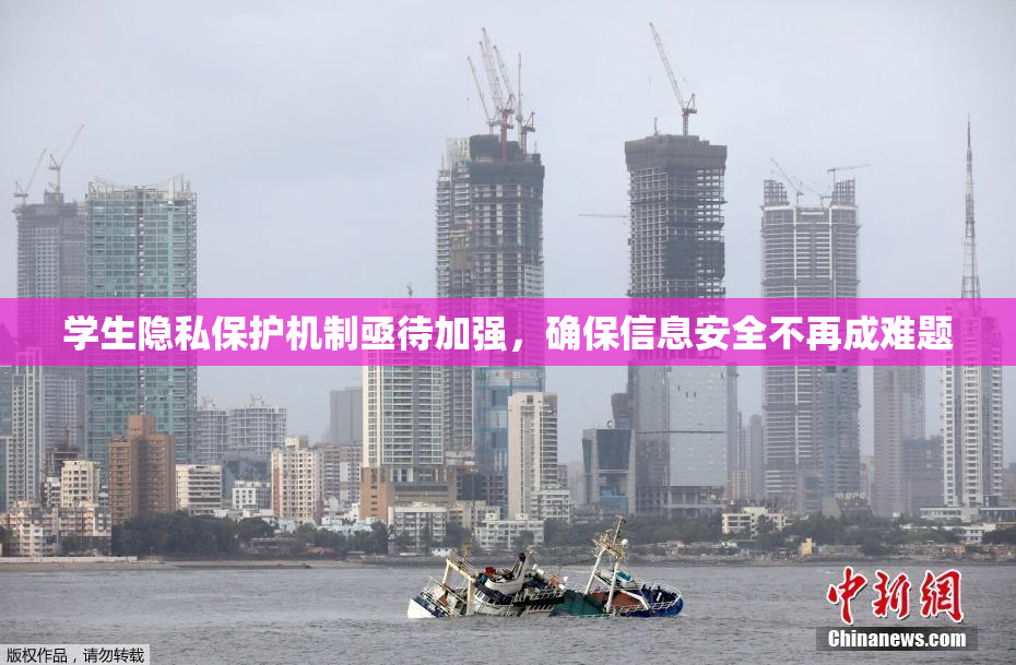 学生隐私保护机制亟待加强，确保信息安全不再成难题