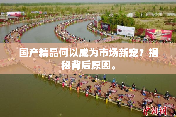 国产精品何以成为市场新宠？揭秘背后原因。
