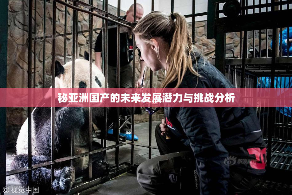 秘亚洲国产的未来发展潜力与挑战分析