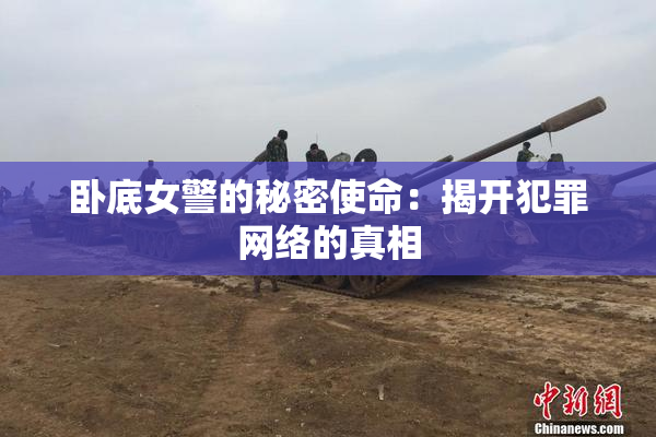 卧底女警的秘密使命：揭开犯罪网络的真相
