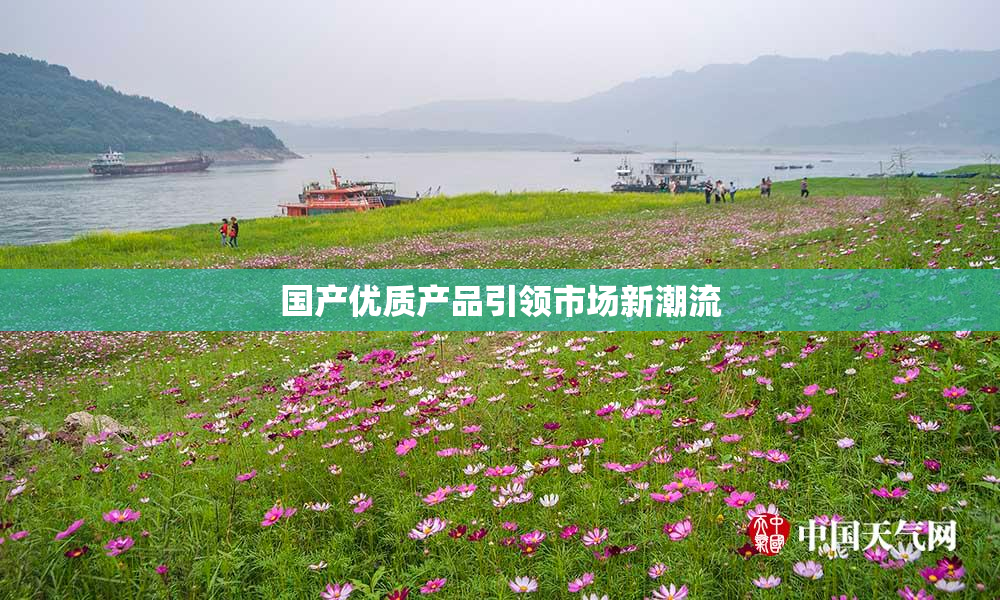 国产优质产品引领市场新潮流