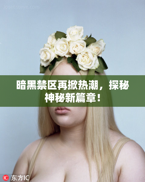 暗黑禁区再掀热潮，探秘神秘新篇章！