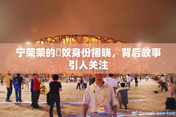 宁荣荣的婬奴身份揭晓，背后故事引人关注