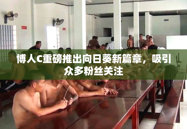 博人C重磅推出向日葵新篇章，吸引众多粉丝关注