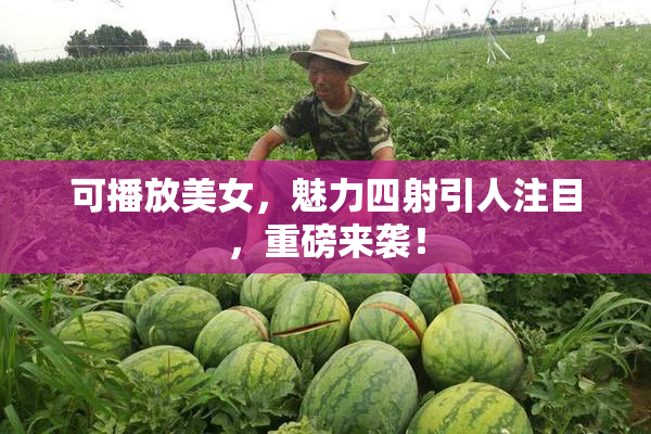 可播放美女，魅力四射引人注目，重磅来袭！