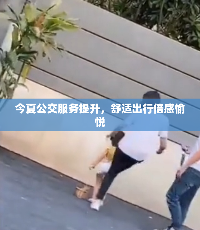 今夏公交服务提升，舒适出行倍感愉悦