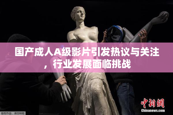 国产成人A级影片引发热议与关注，行业发展面临挑战