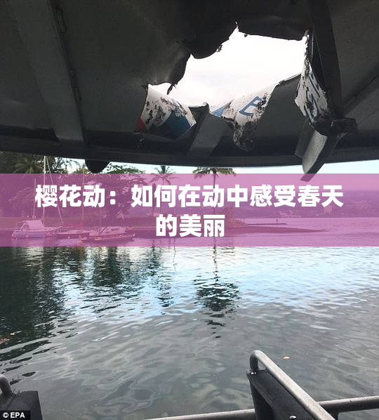 樱花动：如何在动中感受春天的美丽