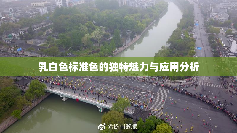 乳白色标准色的独特魅力与应用分析