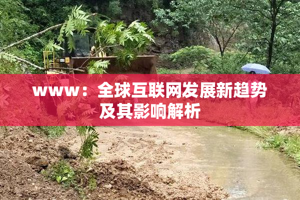www：全球互联网发展新趋势及其影响解析