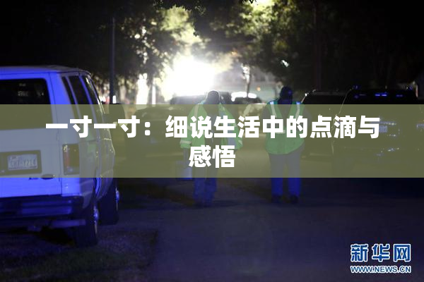一寸一寸：细说生活中的点滴与感悟