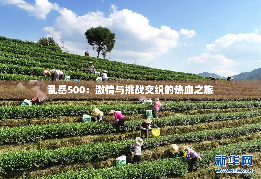乱岳500：激情与挑战交织的热血之旅