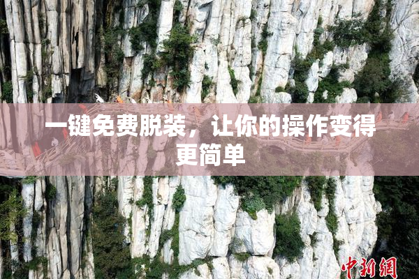 一键免费脱装，让你的操作变得更简单