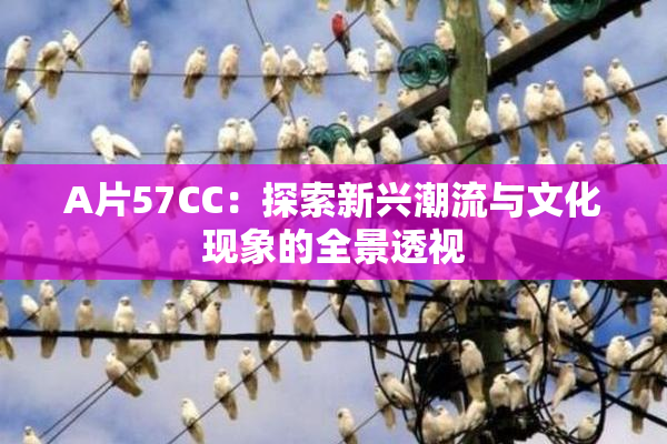 A片57CC：探索新兴潮流与文化现象的全景透视