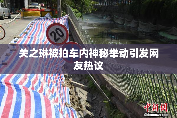 关之琳被拍车内神秘举动引发网友热议