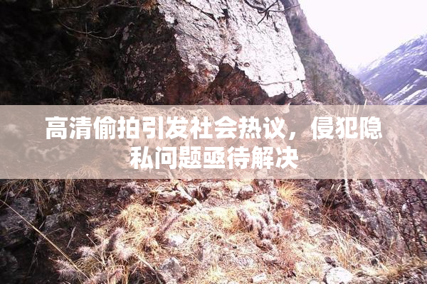 高清偷拍引发社会热议，侵犯隐私问题亟待解决