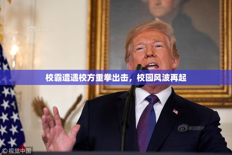 校霸遭遇校方重拳出击，校园风波再起
