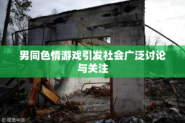 男同色情游戏引发社会广泛讨论与关注